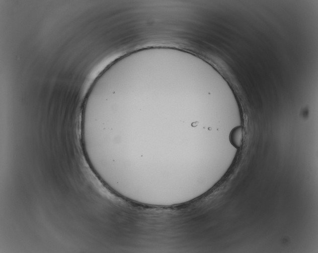 X0000115830804200912241955