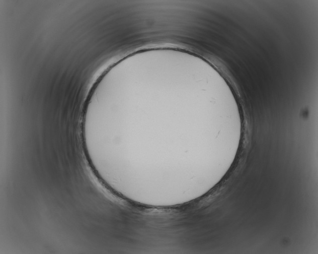 X0000115830805200912241955