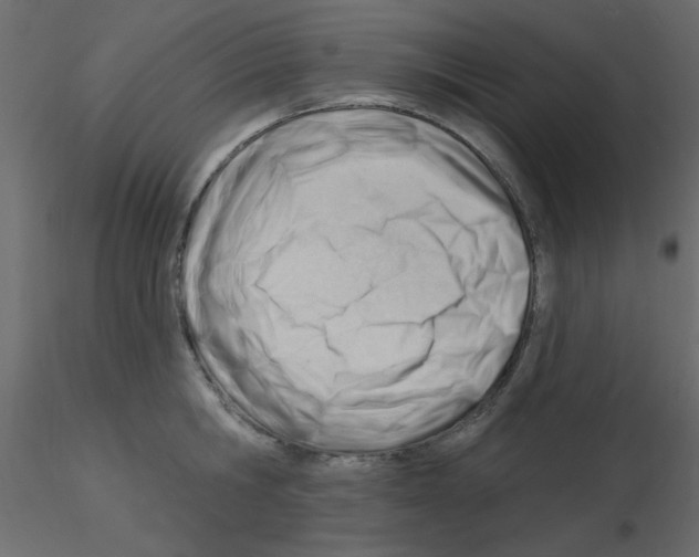 X0000115830806200912241955