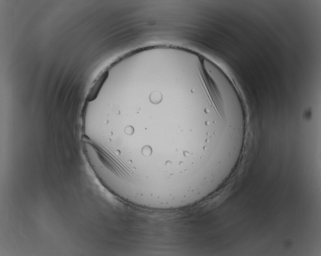 X0000115830807200912241955