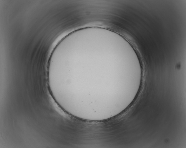 X0000115830808200912241954