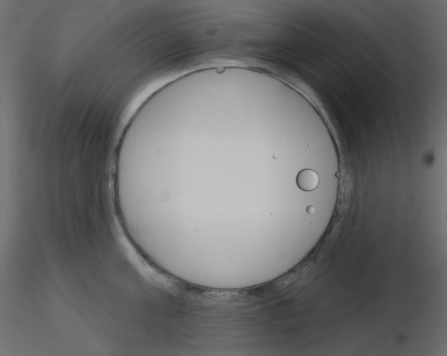 X0000115830811200912241954