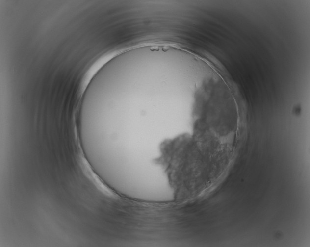 X0000115830812200912241954