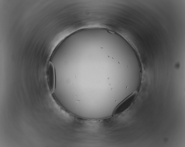 X0000115830813200912241954