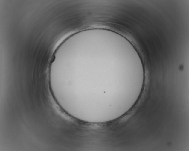 X0000115830814200912241954