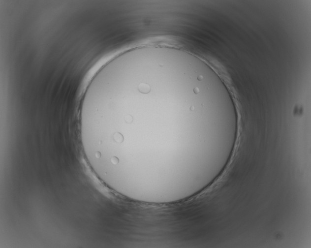 X0000115830816200912241954