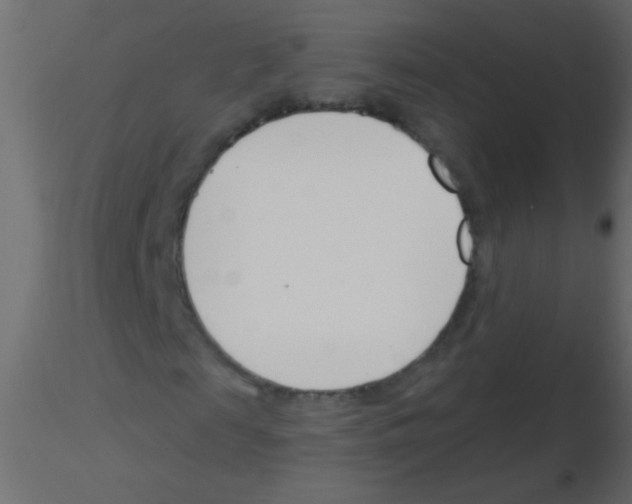 X0000115830817200912241954