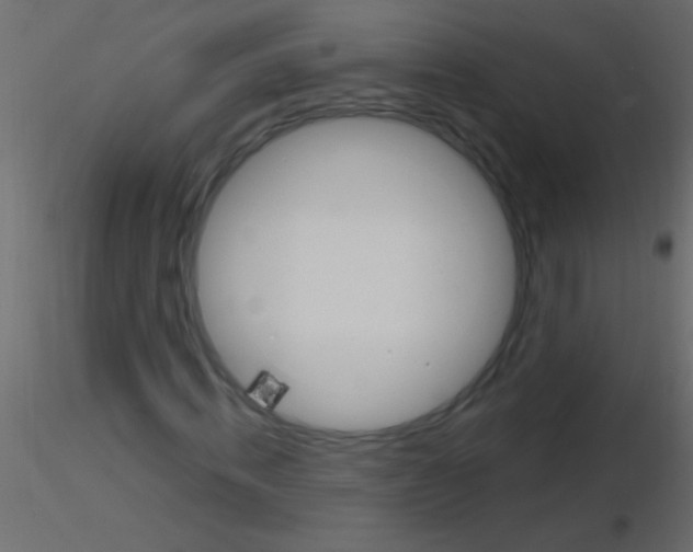 X0000115830820200912241954