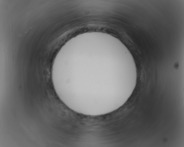 X0000115830821200912241954