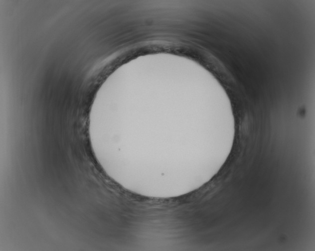 X0000115830822200912241954