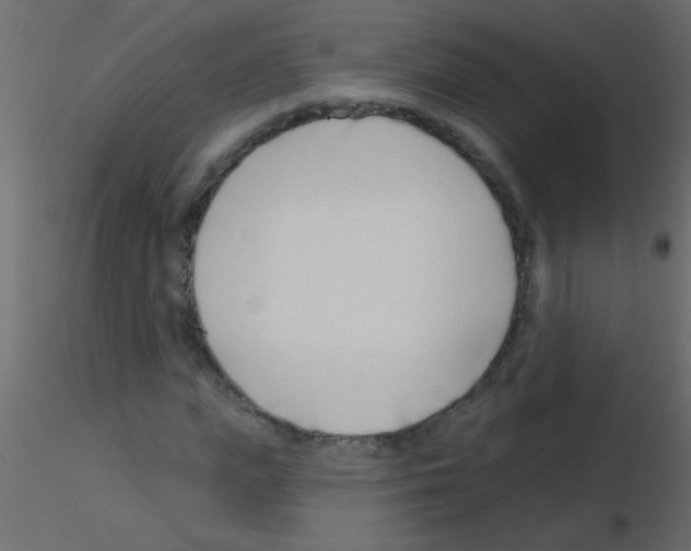 X0000115830823200912241954