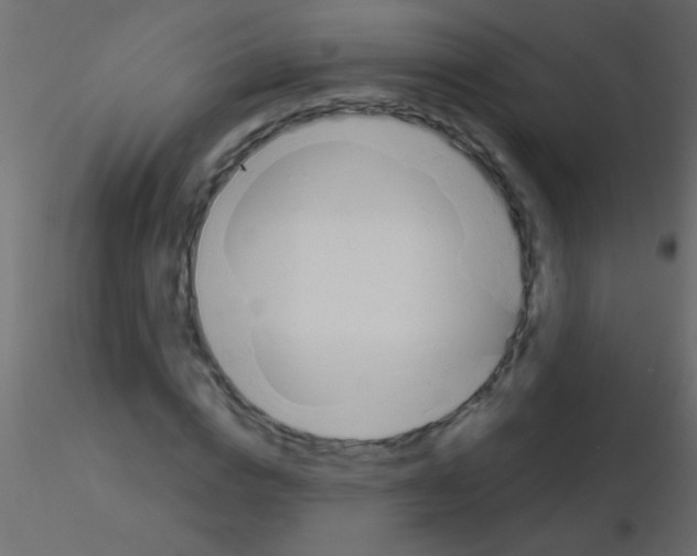 X0000115830824200912241954