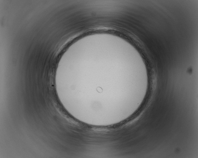 X0000115830825200912241954