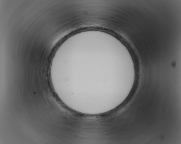 X0000115830826200912241954