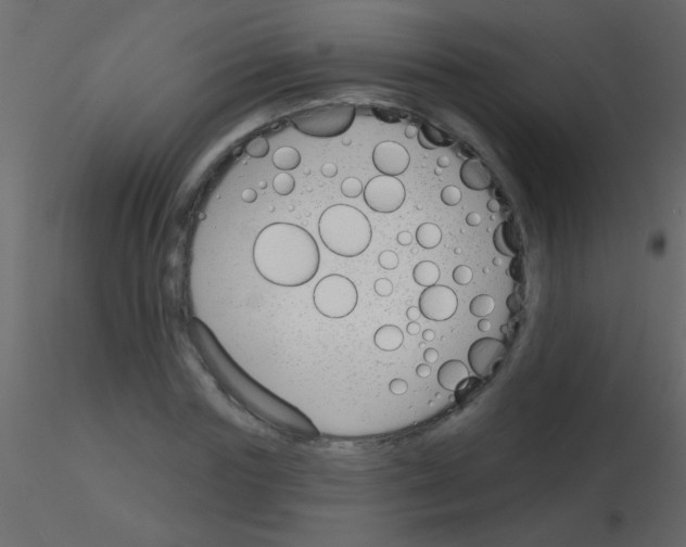 X0000115830827200912241954