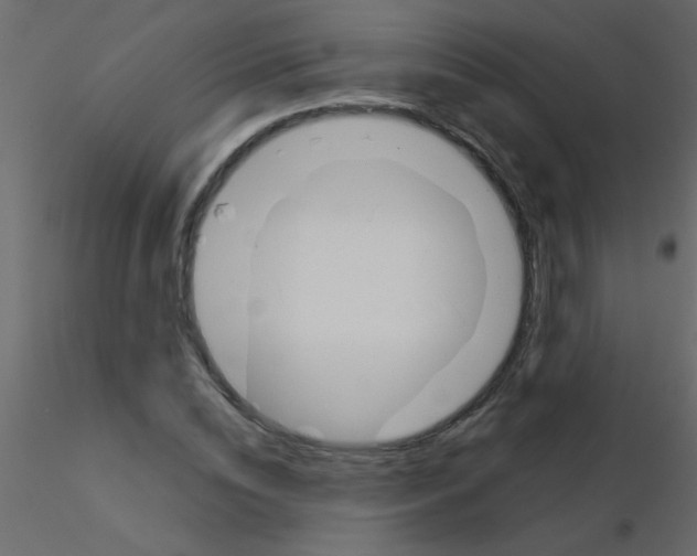 X0000115830828200912241954