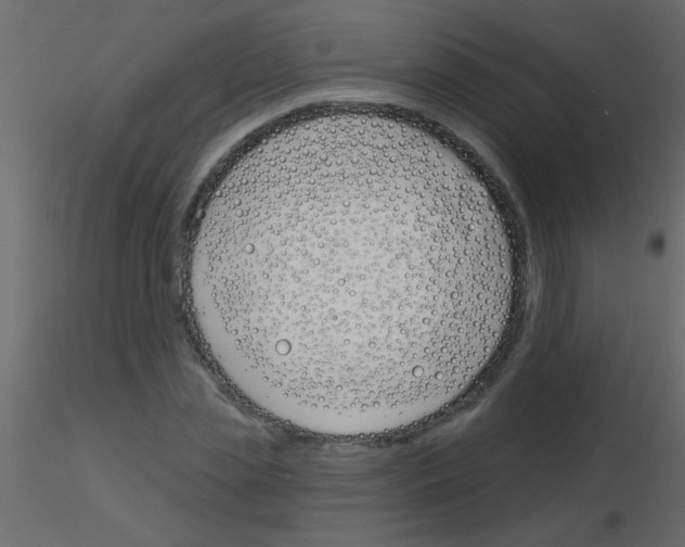 X0000115830829200912241954