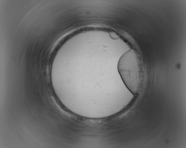 X0000115830831200912241954