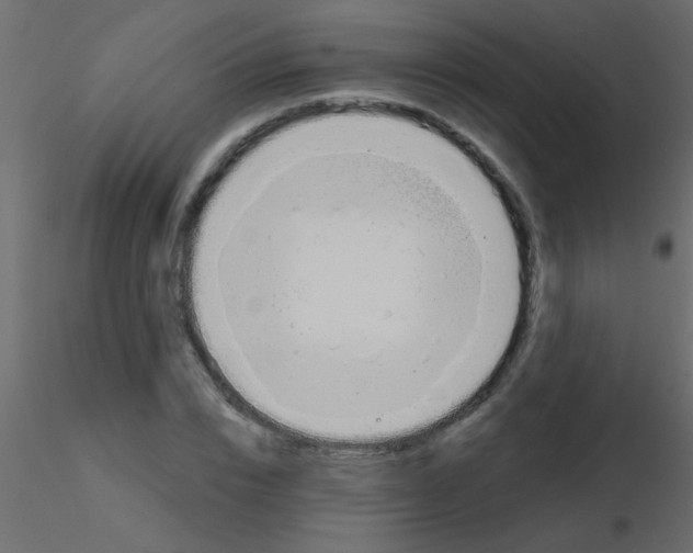 X0000115830832200912241954