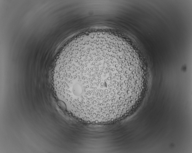 X0000115830833200912241954