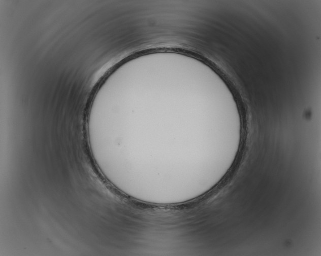 X0000115830834200912241954