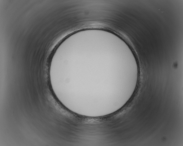 X0000115830835200912241954