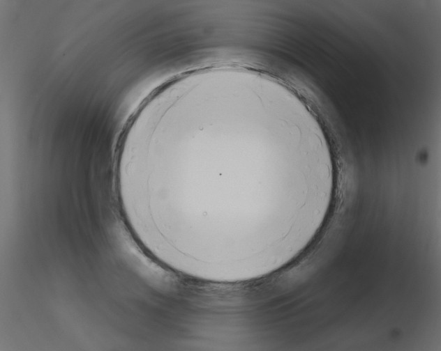 X0000115830836200912241954