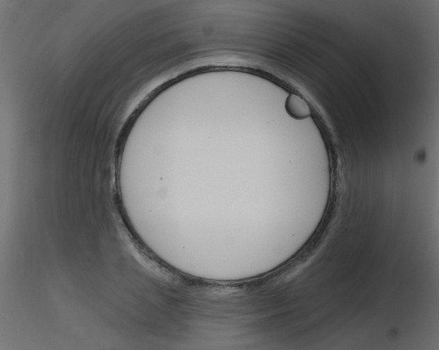 X0000115830837200912241954