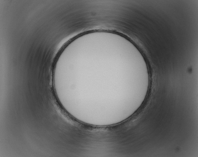 X0000115830838200912241954