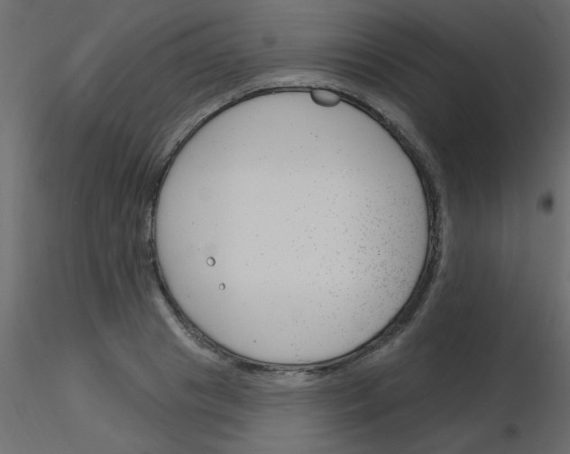 X0000115830841200912241954