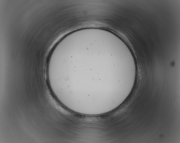 X0000115830843200912241954