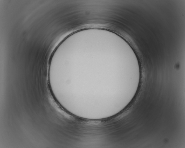 X0000115830844200912241954