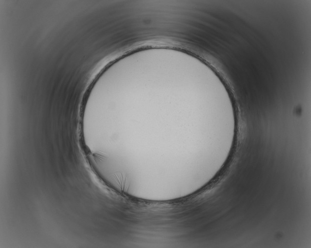 X0000115830845200912241954