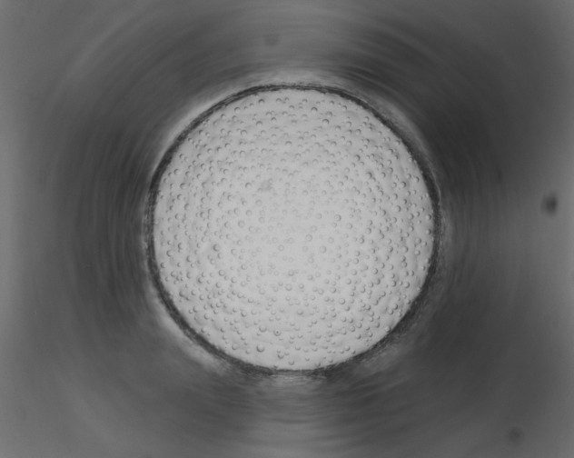 X0000115830847200912241954