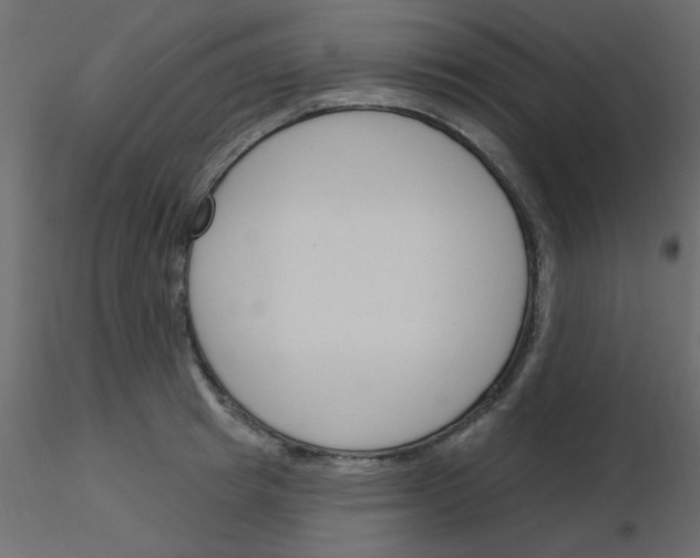 X0000115830849200912241954