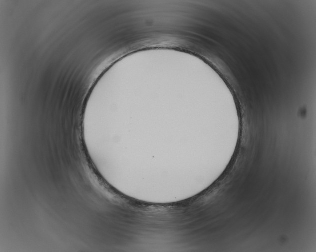 X0000115830850200912241954