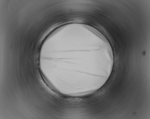 X0000115830851200912241954