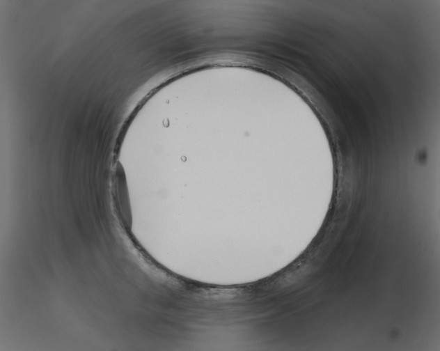 X0000115830853200912241954