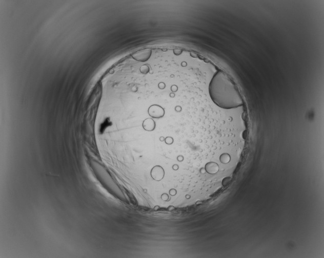 X0000115830855200912241954