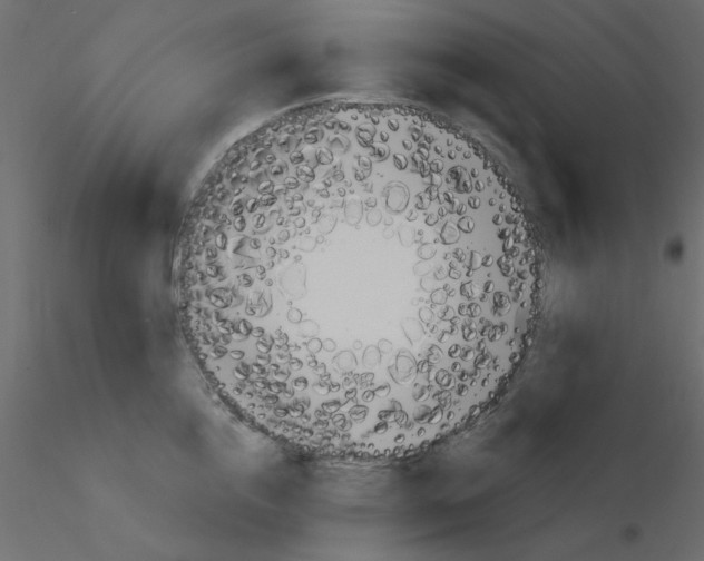 X0000115830856200912241954