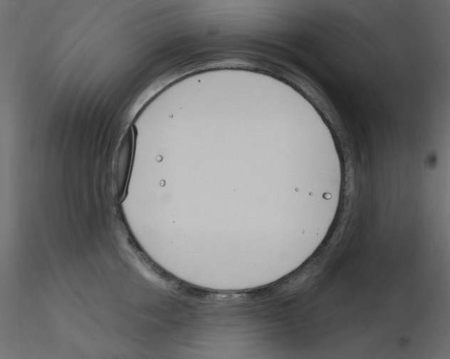 X0000115830858200912241954