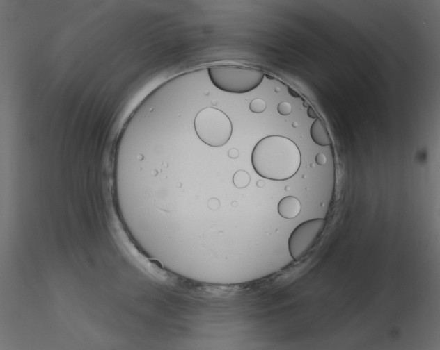 X0000115830859200912241954