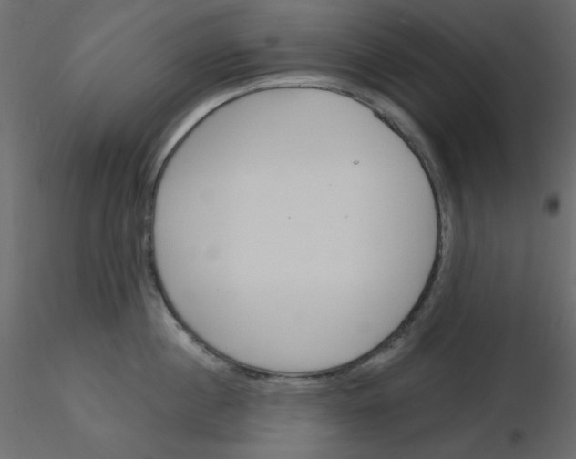 X0000115830860200912241954