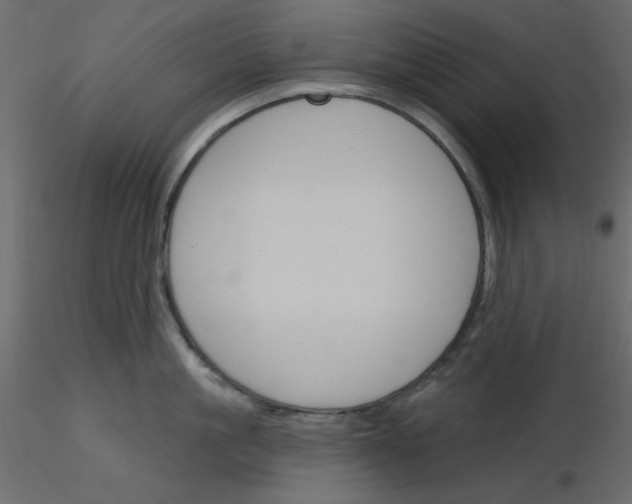 X0000115830861200912241954