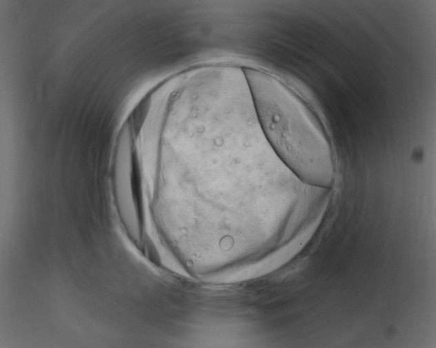 X0000115830863200912241954