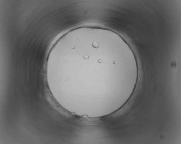 X0000115830864200912241954