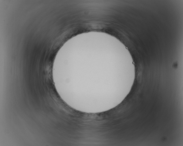 X0000115830866200912241954