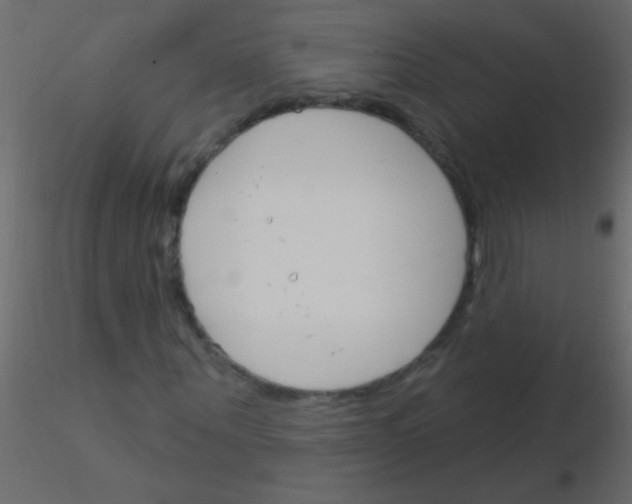 X0000115830867200912241954