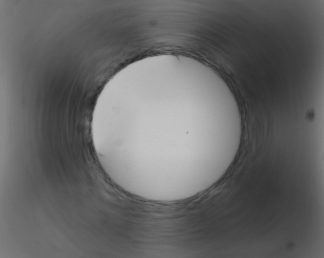 X0000115830868200912241954