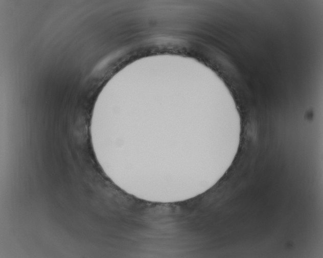 X0000115830869200912241954